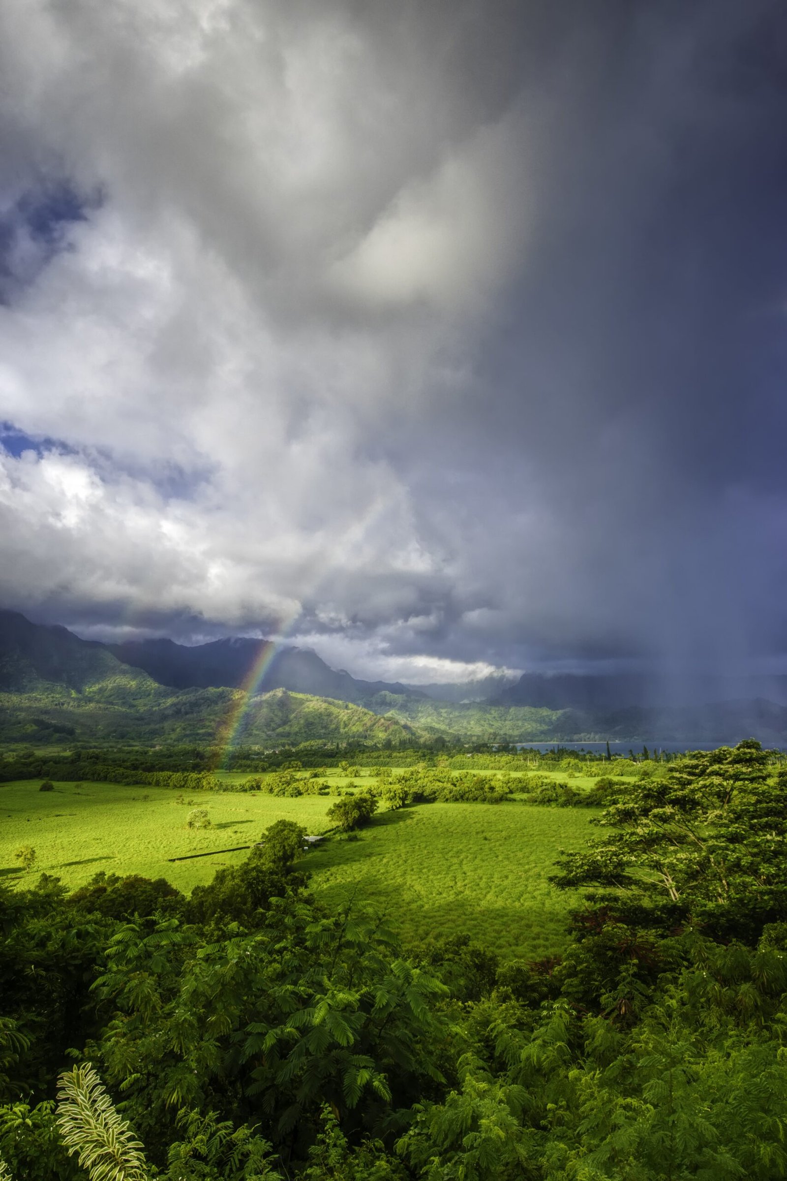 travel-image