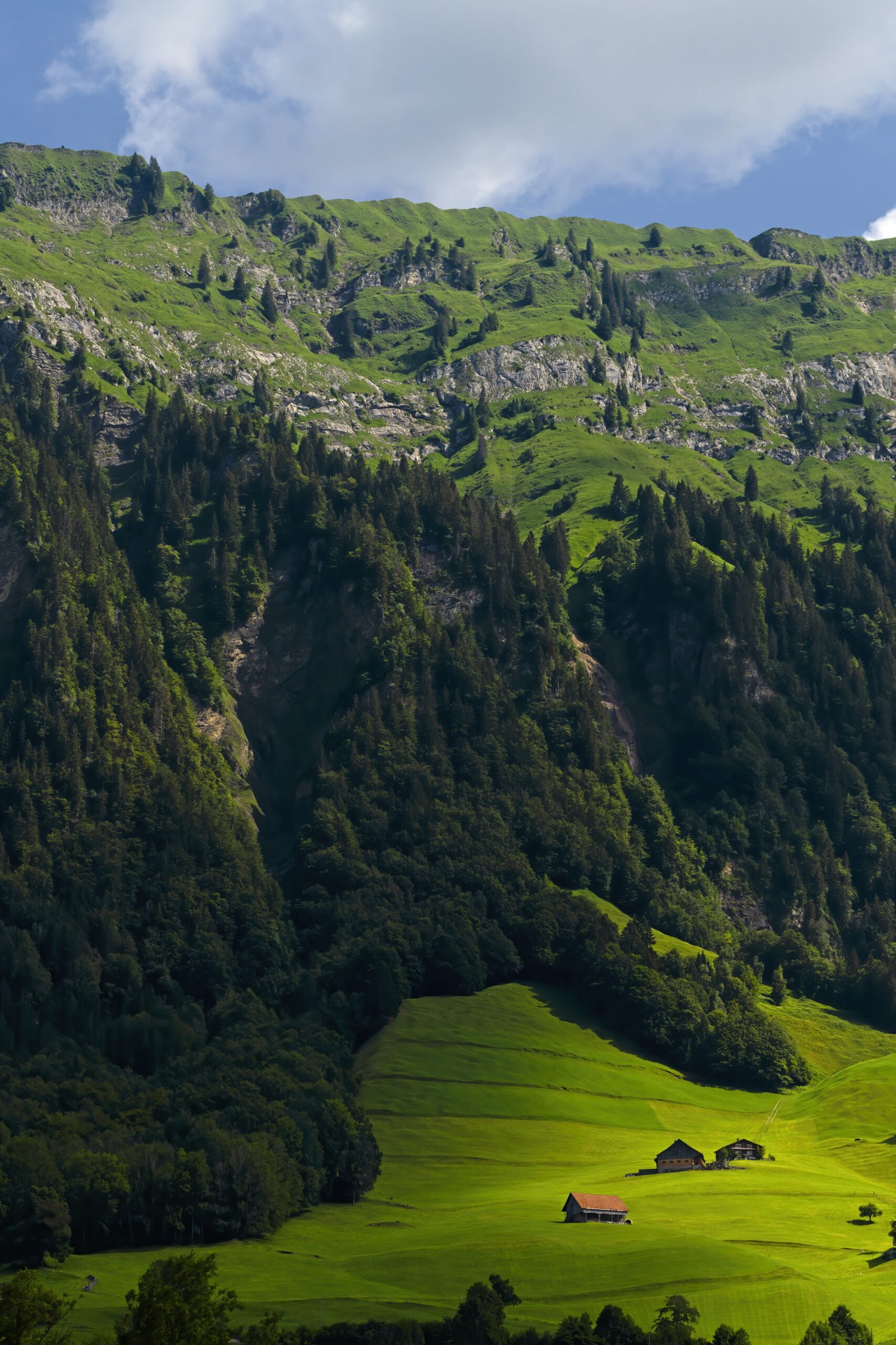 travel-image