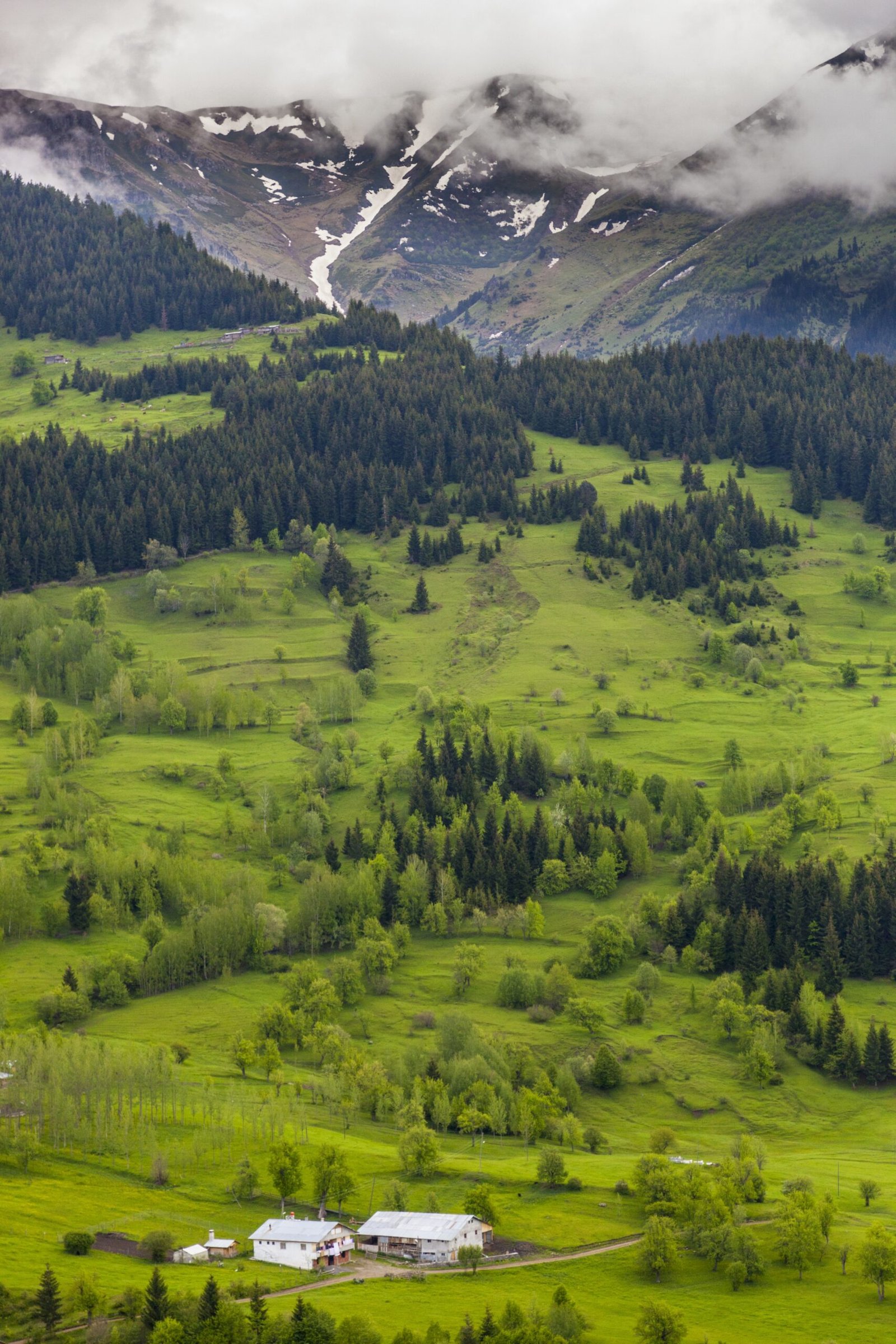 travel-image