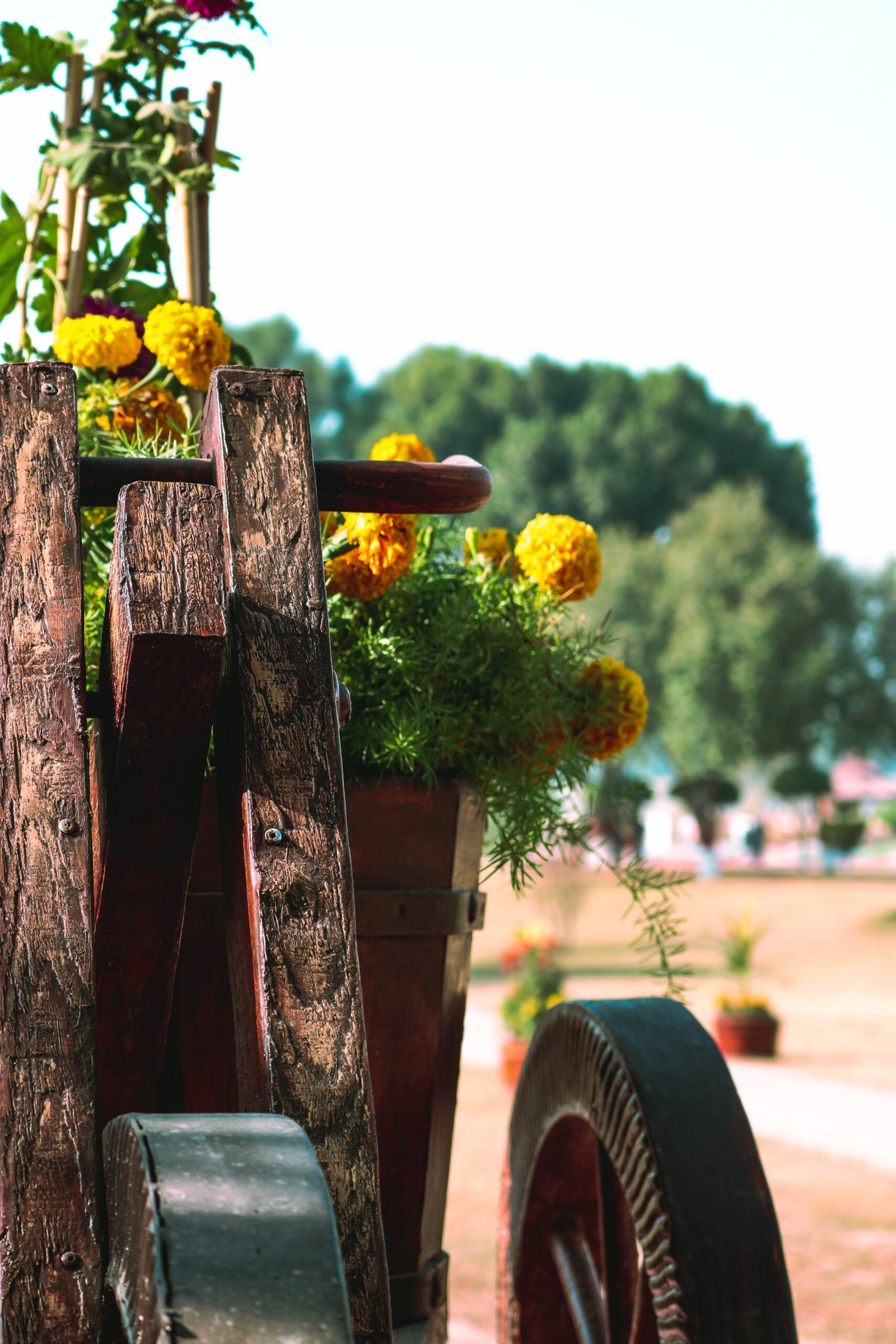 travel-image