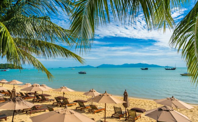 Phu Quoc – Ho Chi Minh Escape