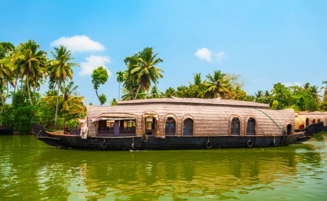 Kerala – Tea Hills, Wildlife & Backwater Escape