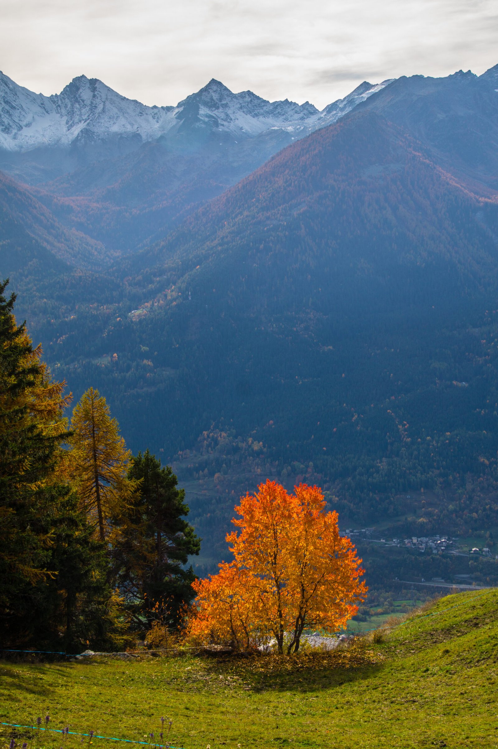 travel-image