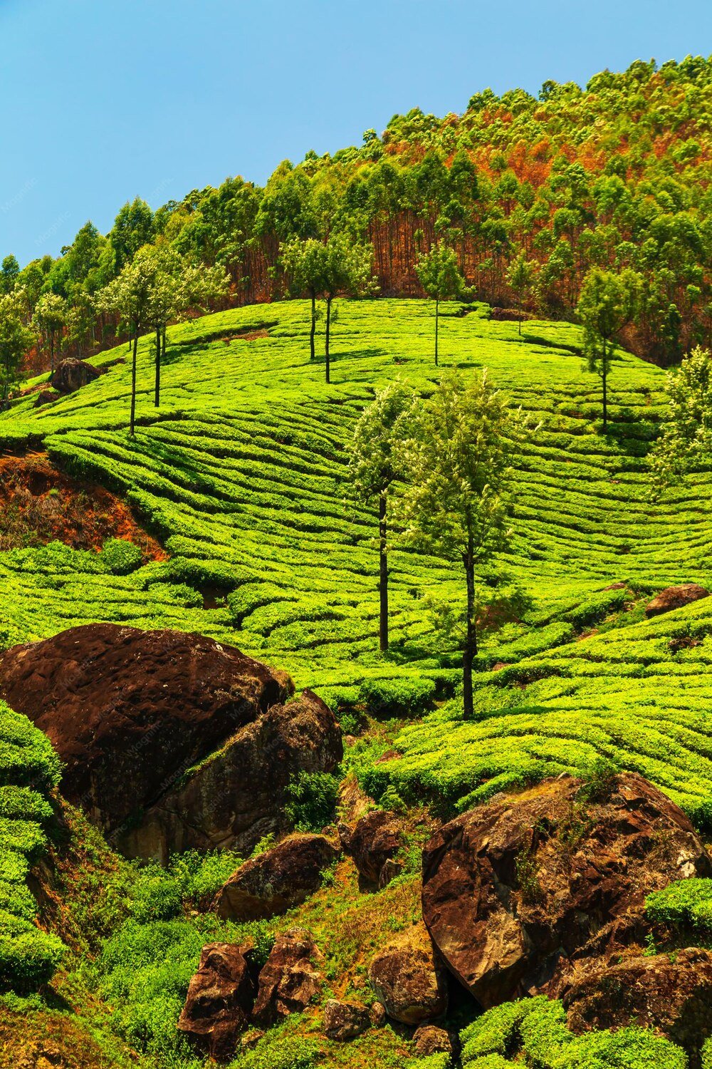 travel-image