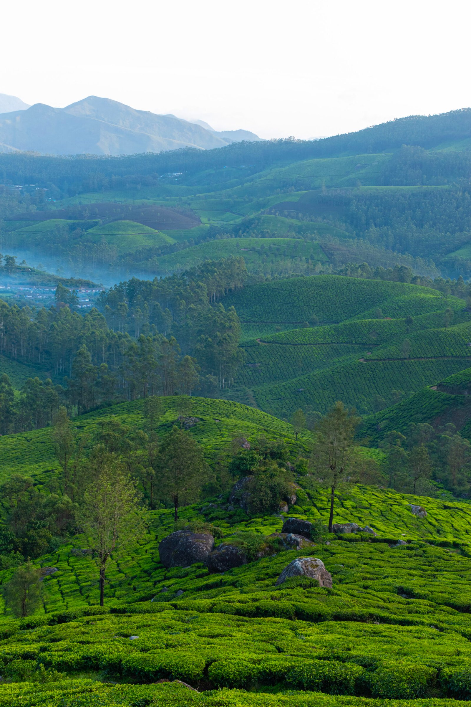 travel-image