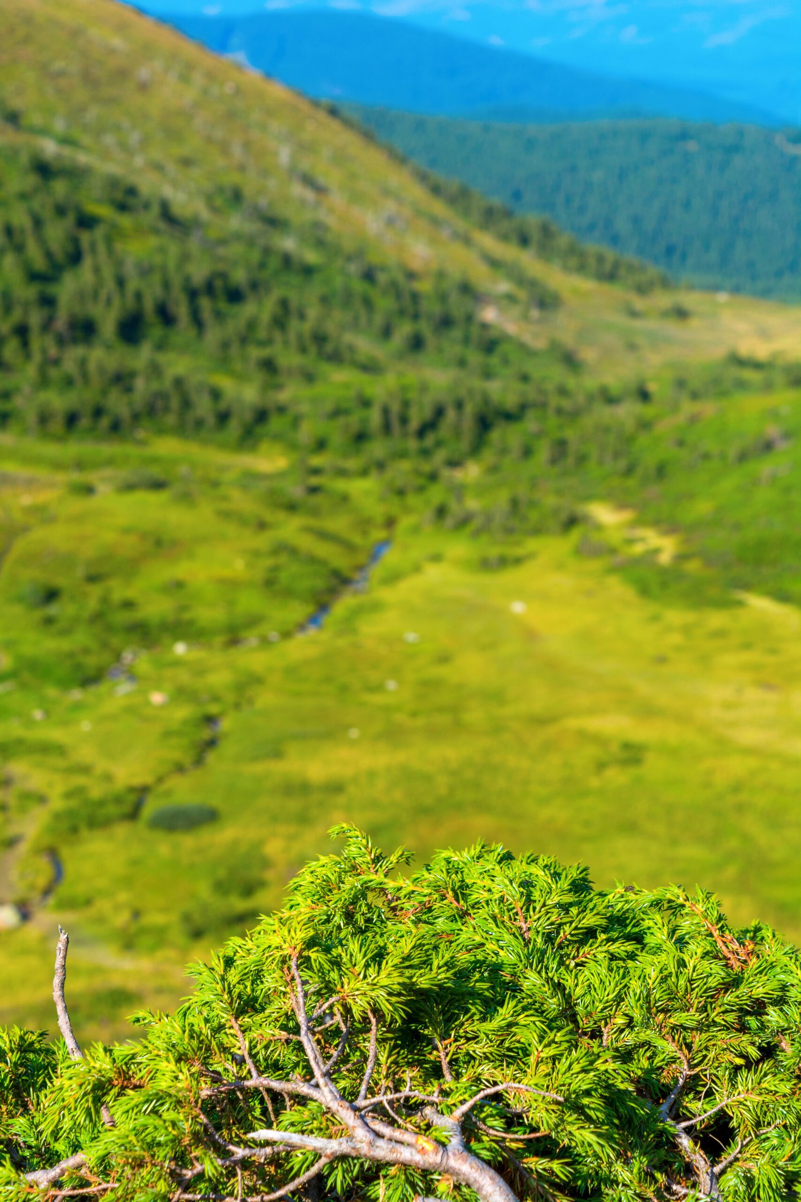 travel-image