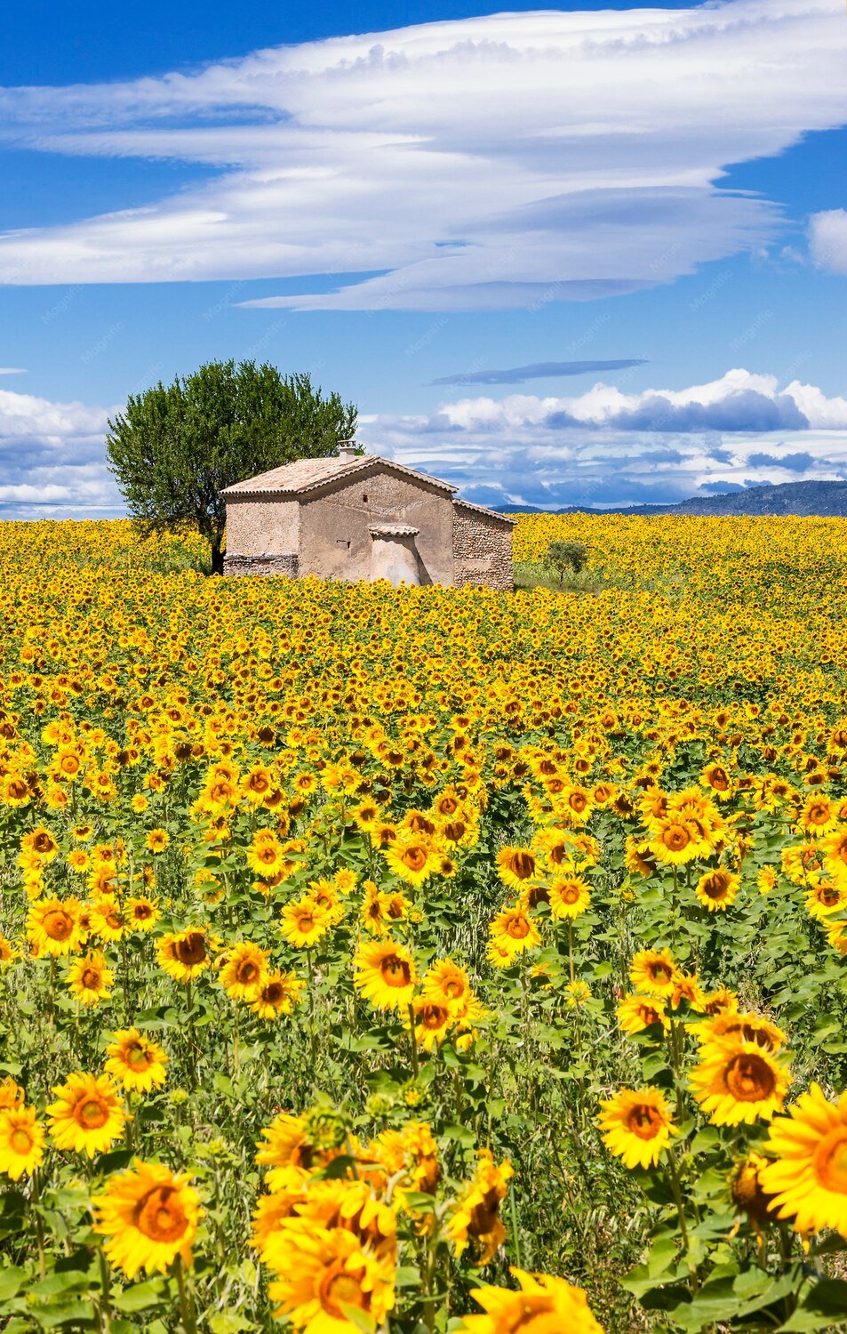 travel-image