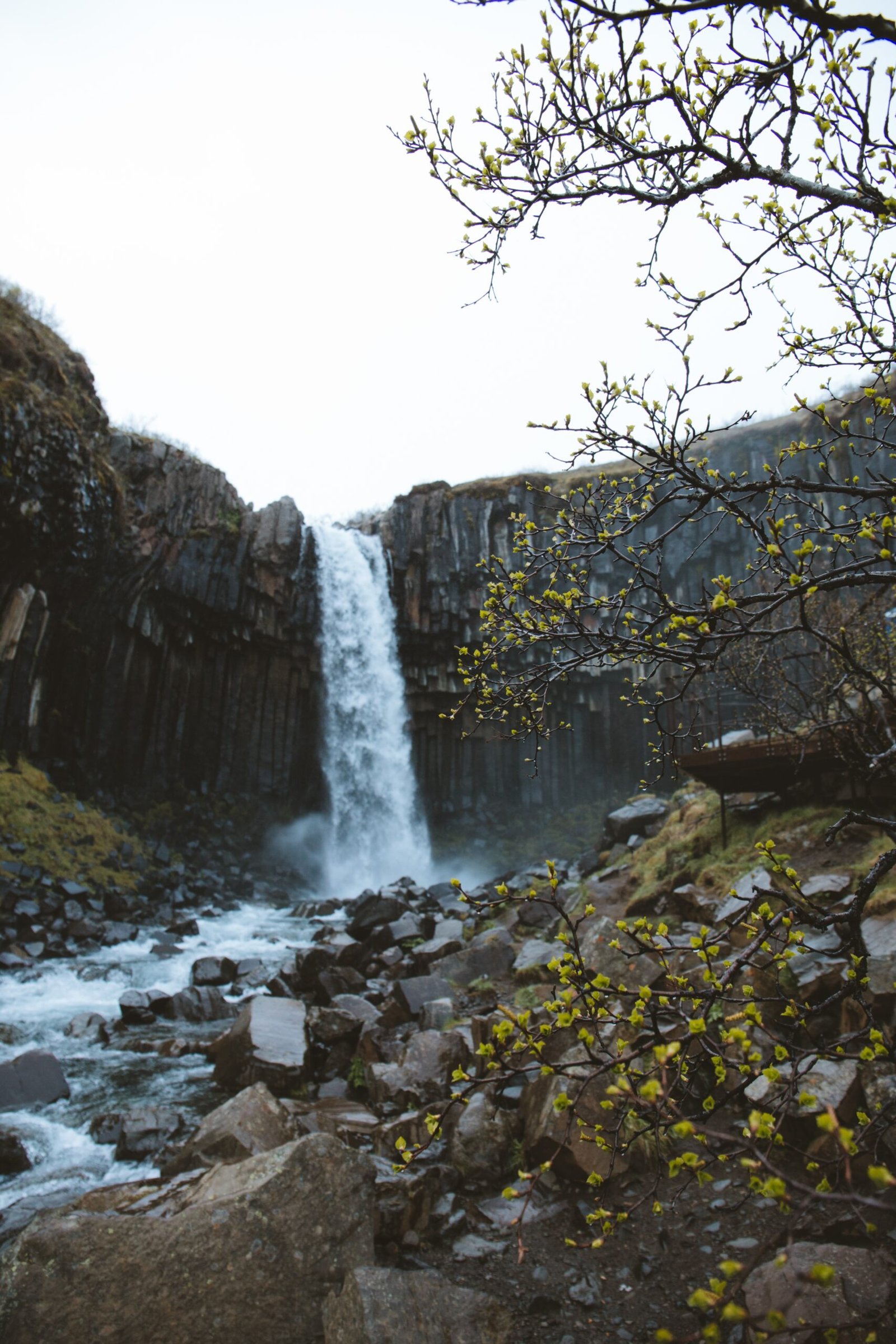 travel-image