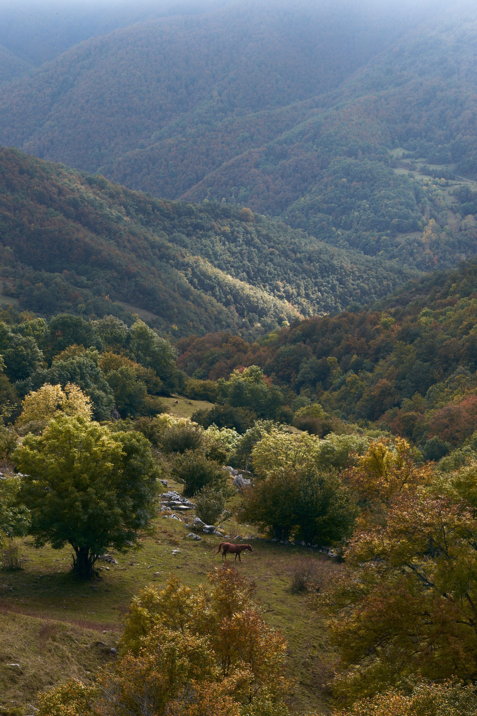 travel-image
