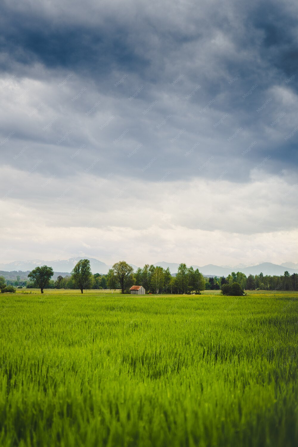 travel-image