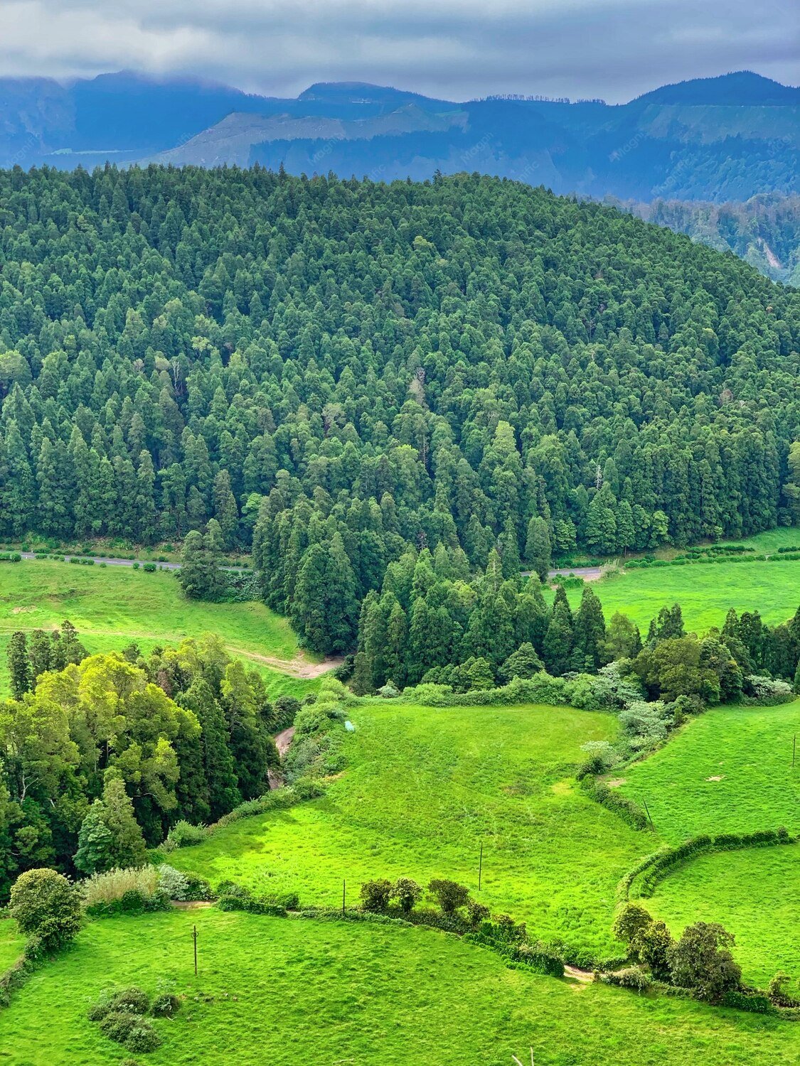 travel-image
