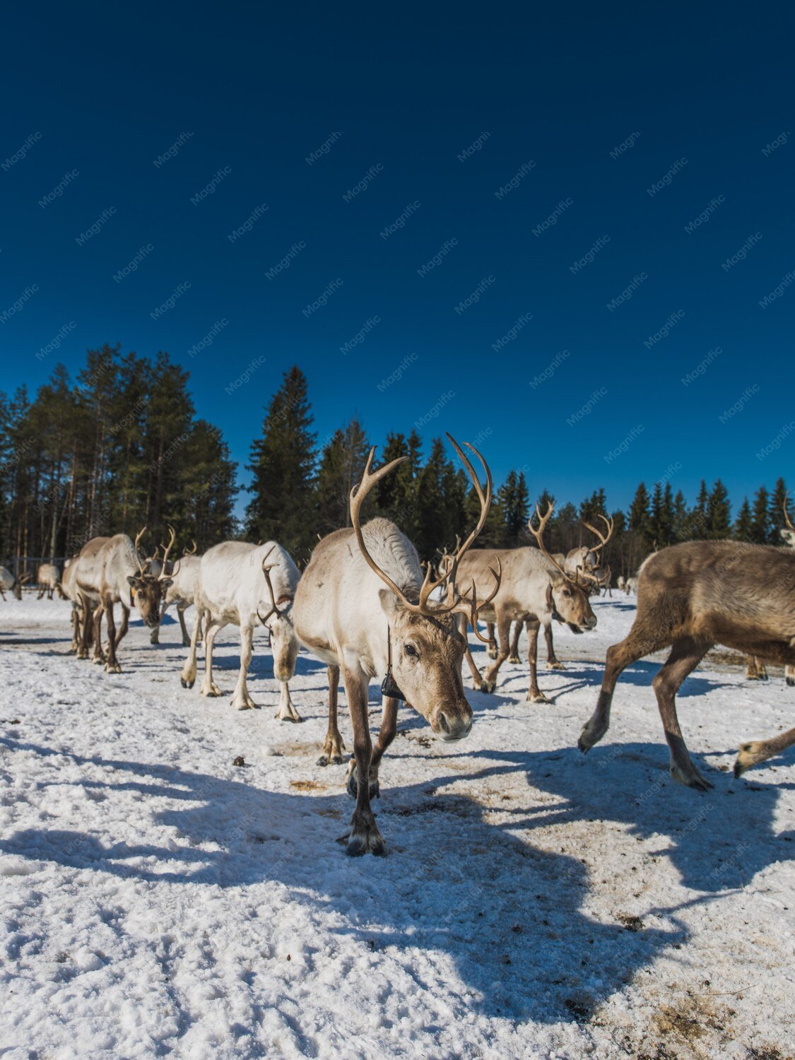 travel-image